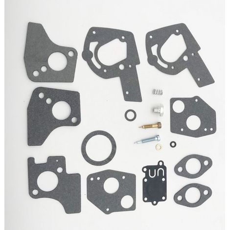 Kit Revision Carburateur - Pour Moteurs 3 A 5 CV Horizontal - Compatible Series BS 80200 81200 82200 92200 130200 - 1 Jeu Joints Membrane + 2 Membranes Pompe + 2 Ressorts + 2 Capuchons (1/5)