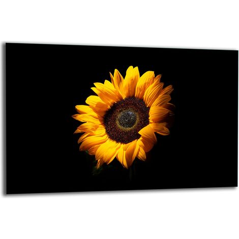 PLAQUE DE PROTECTION EN VERRE POUR CUISINIÈRE 80x52 FLOWER (1/5)