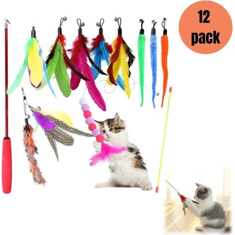 Kit de jouets pour chat 12 pièces - cannes à pêche extensibles, plumes et jouets interactifs (1/5)