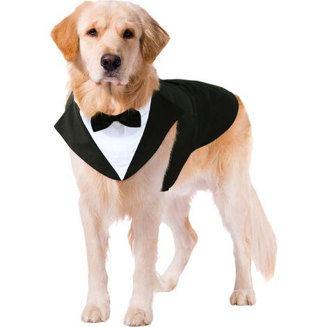 Costume chien avec nœud papillon et chemise pour grandes/moyennes races, idéal mariage