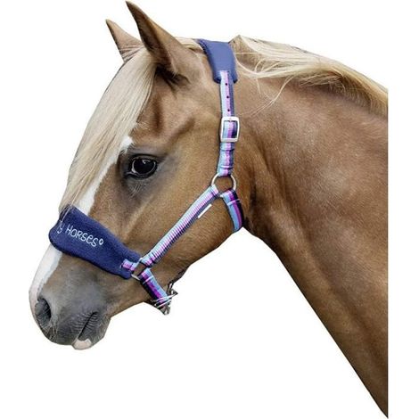 1 Licol Cheval Mini Shetty Réglable Têtière Muserolle Rembourrée Équitation