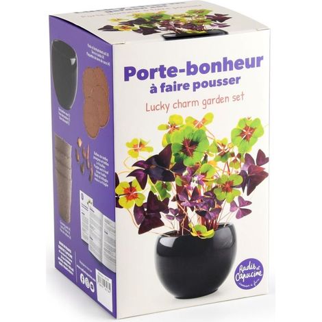 Kit trèfle porte bonheur (1/3)