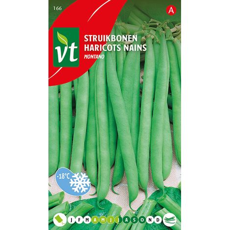 Haricots Nains Montano - Ca. 50 gr (Livraison Gratuite) (1/2)