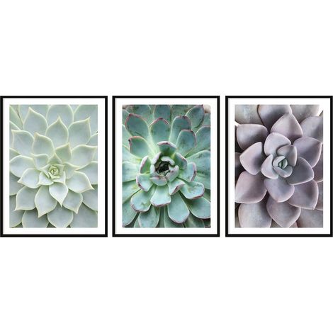 CARTELES CON FOTOS EN MARCO 53x73cm Tríptico Conjunto de 3 cuadros Hojas Flores P2006 (1/3)