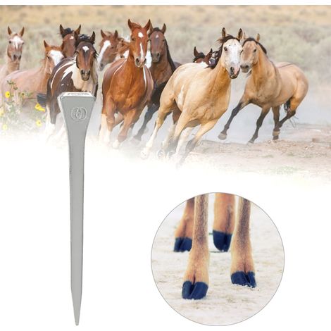 Clous pour fers à cheval E4, outil pour maréchal-ferrant, 250 pièces (modèle E4, boîte de 250 clous)