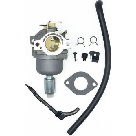 Carburateur pour Moteurs Briggs & Stratton 287707 287776 287777 310707 310777 698620 690194 791886 799727 496796 499153 695412 792768 Remplacement du carburateur (1/4)