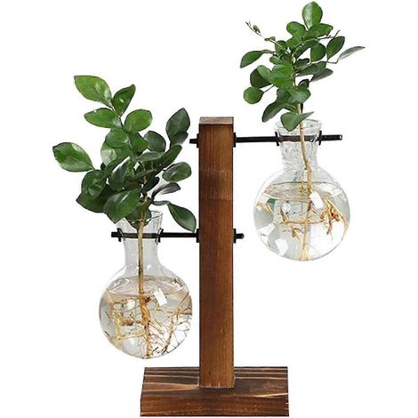 Vase hydroponique, vase pour plantes, vase de table, vase décoratif avec support en bois, vase en verre, décoration (1/5)