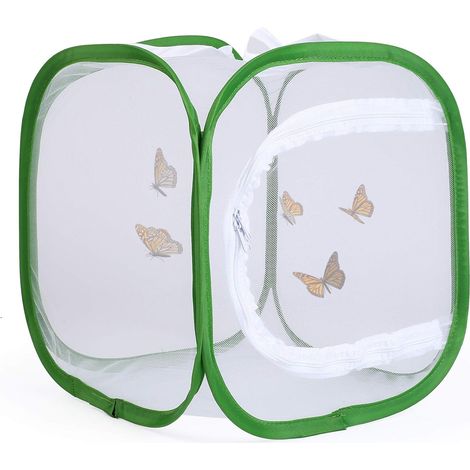 Cage miniature pour papillons et chenilles – boîte d'élevage, conception en maille transparente escamotable, 12 x 12 x 12 pouces. (1/5)