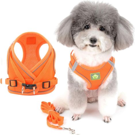 Harnais et laisse pour petit chien anti-traction, réglable réfléchissant, respirant maille souple, pour chihuahua yorkshire, marche course dressage orange XL - accessoire transport (1/5)