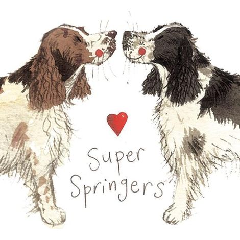 Aimant FM02 Springer Spaniel