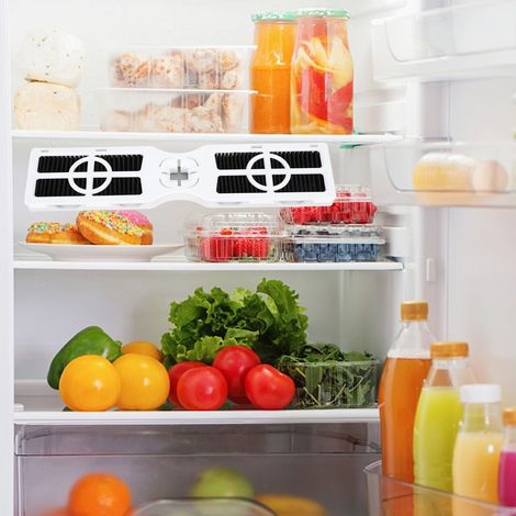 Filtre à air pour réfrigérateur Frigidaire PureAir AF-2 (1/5)