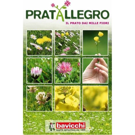 Prato Fiorito - Pratallegro 1 Kg Bavicchi