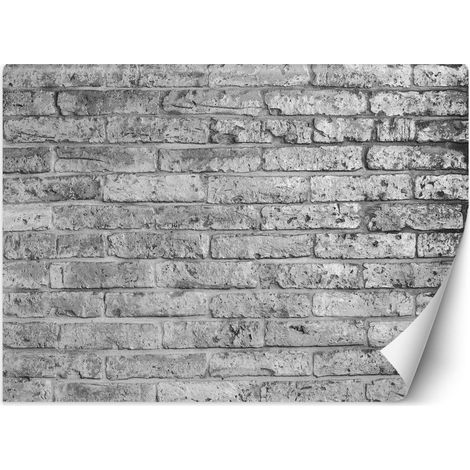 Carta Da Parati, Muro di mattoni grigio effetto pietra - 200x140 (1/5)