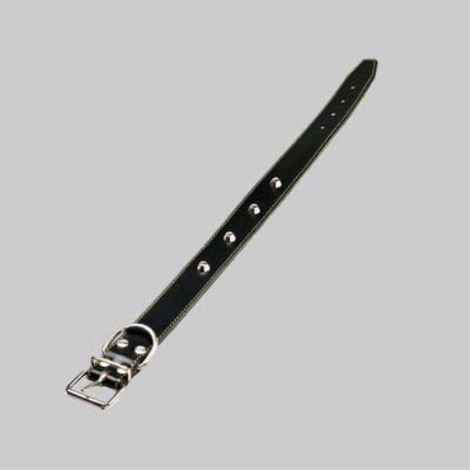 Collare per cani foderato con borchie 40x650 mm