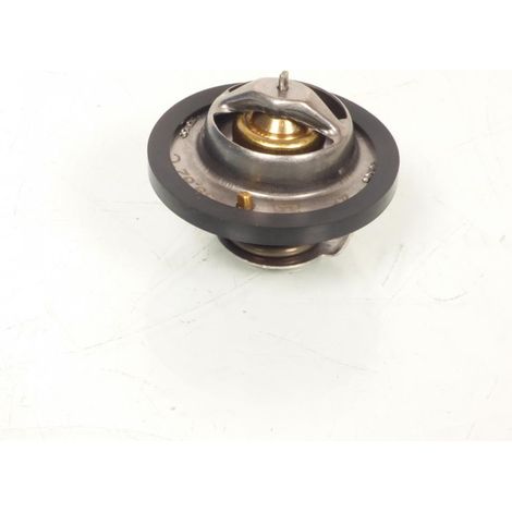 Thomson Thermostat für Motorrad Honda 650 XRV Africa Twin 1988
