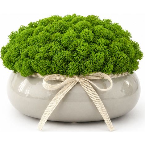 Grauer ovaler Blumentopf mit Moos (1/5)