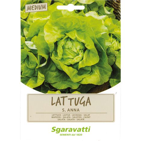 SEMI PER ORTAGGI E VEGETALI lattuga S. Anna Q.TA 20 lattuga S. Anna