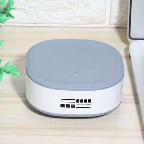 Purificateur d'air à ions négatifs mini pour voiture et maison, élimination du formaldéhyde, recharge USB Femeo (1/5)