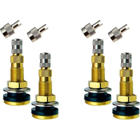 Convient aux valves de pneus TR618A, aux pneus de tracteur gonflables sans chambre à air et aux roues agricoles.