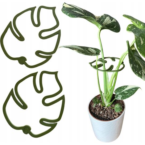 Supporto per piante e fiori, robusto supporto per Monstera con morsetto, lunghezza 21 cm, 2 pezzi. (1/5)