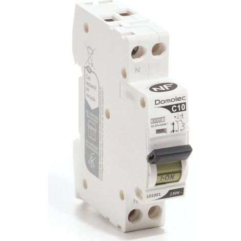 AUTRES Disjoncteur phase + neutre DOMOLEC 10 A (1/2)
