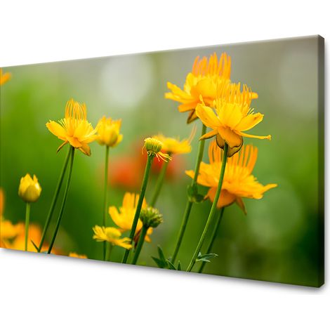 Leinwanddruck Botanik Gelbe Blumen 70x50 cm