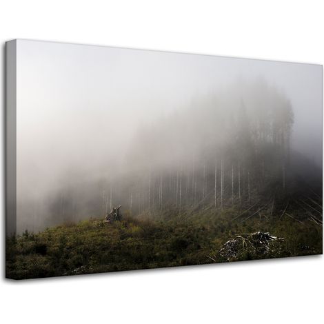 Leinwanddruck Natur Nebel im Wald 80x50 cm