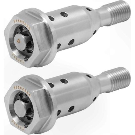 Deux électrovannes de régulation d'huile (55562224 427001910) compatibles avec les véhicules Opel. Pièces de rechange pour moteurs automobiles. (1/5)