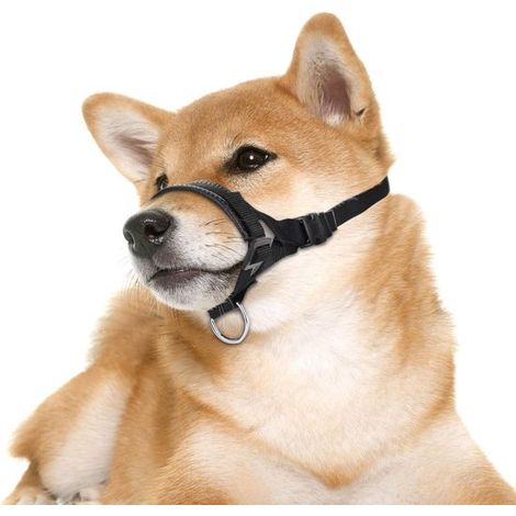 Museruola per cani di piccola e grande taglia. Cinturino regolabile per prevenire morsi, abbai e pizzicotti. Colore nero, taglia L. (1/4)