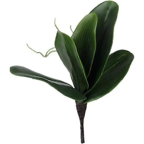 Feuilles d'orchidées Phalaenopsis artificielles, plantes artificielles au toucher réaliste, fausses orchidées vertes pour la décoration de la maison, des mariages, des fêtes et des bonsaïs. (1/5)