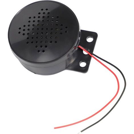 Anpassbarer Sprachlautsprecher für die Fahrzeugzugangskontrolle und Verriegelung (6-35V DC)