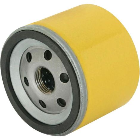 BRIGGS & STRATTON Filtro Olio Diam esterno 76mm Foro 3/4" H62 mm 310090