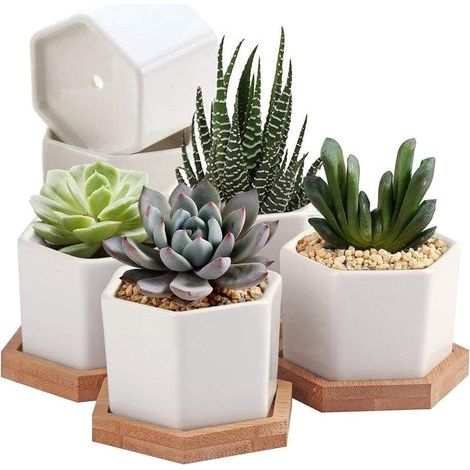 Pots pour plantes succulentes, pots pour cactus, petits pots de fleurs, mini pots de fleurs (1/5)