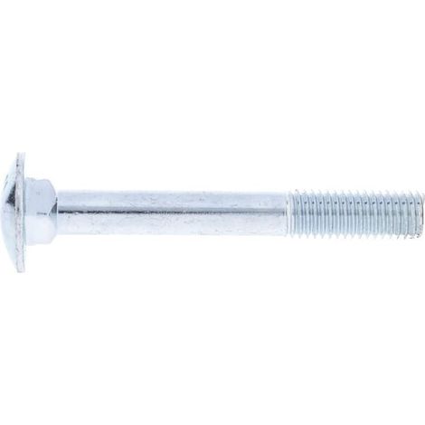 Vite a testa tonda con quadro sottotesta zincata M10x80 8.8 UNIVERSALE 603108088 (1/3)