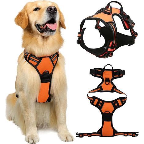 Pettorina per cani di taglia grande, pettorina antistrappo con controllo, gilet regolabile con maniglia facile da usare per addestramento o passeggiate (arancione, XL) (1/5)