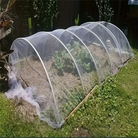 Zuschneidbares Insektennetz, Maße 2 m x 10 m. Schützt Pflanzen, Gemüse und Obst effektiv. (Dünn, Weiß) (1/5)