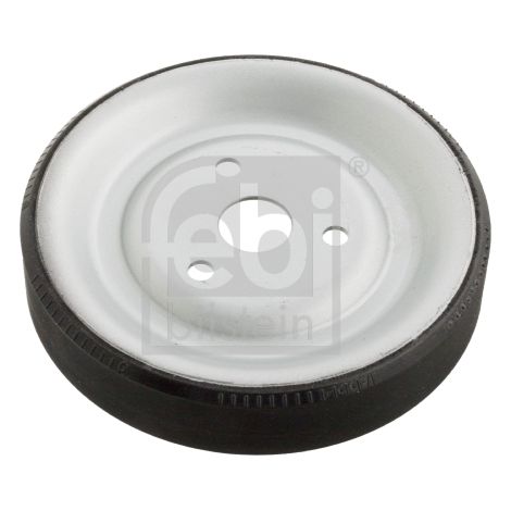 FEBI BILSTEIN 102466 Poulie, pompe à eau - 003648867 - 003648867