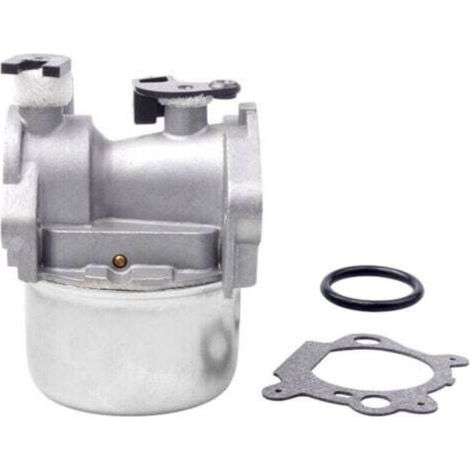 Vergaser kompatibel mit Briggs & Stratton Rasenmähern – Modelle 799871, 790845, 799866, 796707, 794304 – Kunststoff und Metall