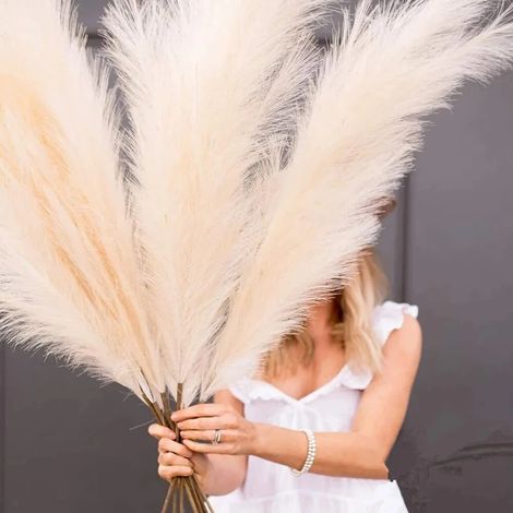 Künstliches Pampasgras, 8-teiliges Set, 100 cm, flauschiges, getrocknetes Pampasgras, Federblumenarrangement (Beige, 8)
