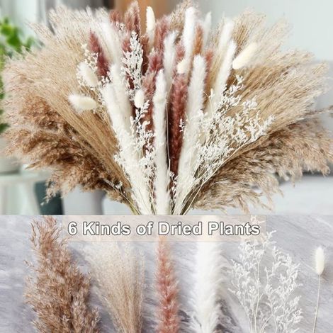 Fleur-plante artificielle - - Lot de 80pcs - Herbe de la Pampa - Décoration boho - Mariage naturel (1/4)