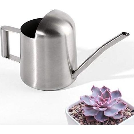 Mini Stainless Steel Garden Watering Can for Home and Office Plants
