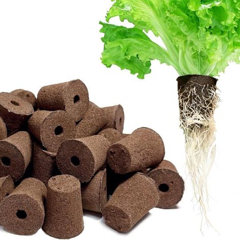 Lot 50 éponges culture hydroponiques – Capsules universelles semis – Jardinage intérieur/extérieur – Démarrage graines, clonage – Développement racinaire (1/5)