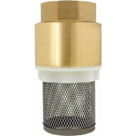 Clapet crepine anti retour 1/2、3/4、1、2 pouce - vanne non retour clapet anti-retour pompe (1/2 pouce) (1/2)