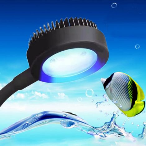 Lampe d'aquarium à spectre complet, petite lampe à pince pour aquarium (noire) (1/5)