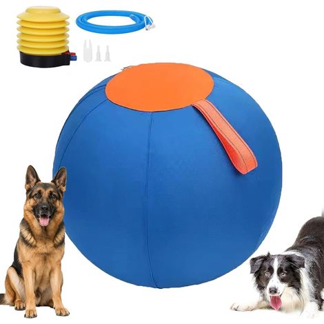 Pelota para mascotas de 25 cm para perros, pelota de pastoreo para perros, pelota inflable grande, pelota interactiva relajante, pelota para caballos para jugar al aire libre, para perros, cabras, cor (1/5)