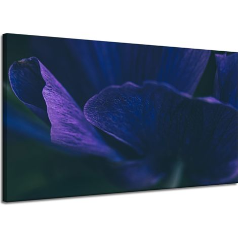Leinwanddruck Botanik Lila Blütenblätter 120x70