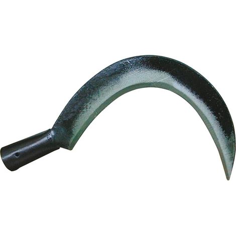 RONCOLA SCANZANO