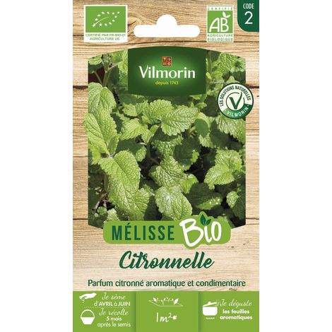 Mélisse citronnelle BIO – Graines d'aromates – Période de semis : printemps – Plante vivace mellifère au parfum citronné – Vilmorin