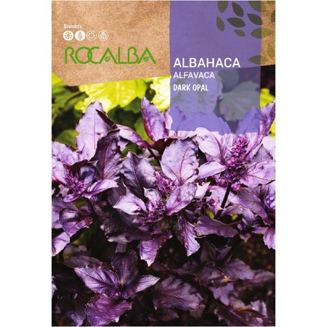 Rokalba Albahaca dunkle Opal -Taschen 4G Samen