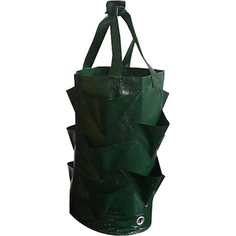 Bolsa Para De Fresas De 3 Galones Macetero Colgante Vert (1/5)